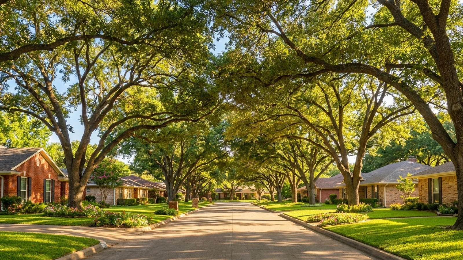 Investment properties in Universal City, TX
